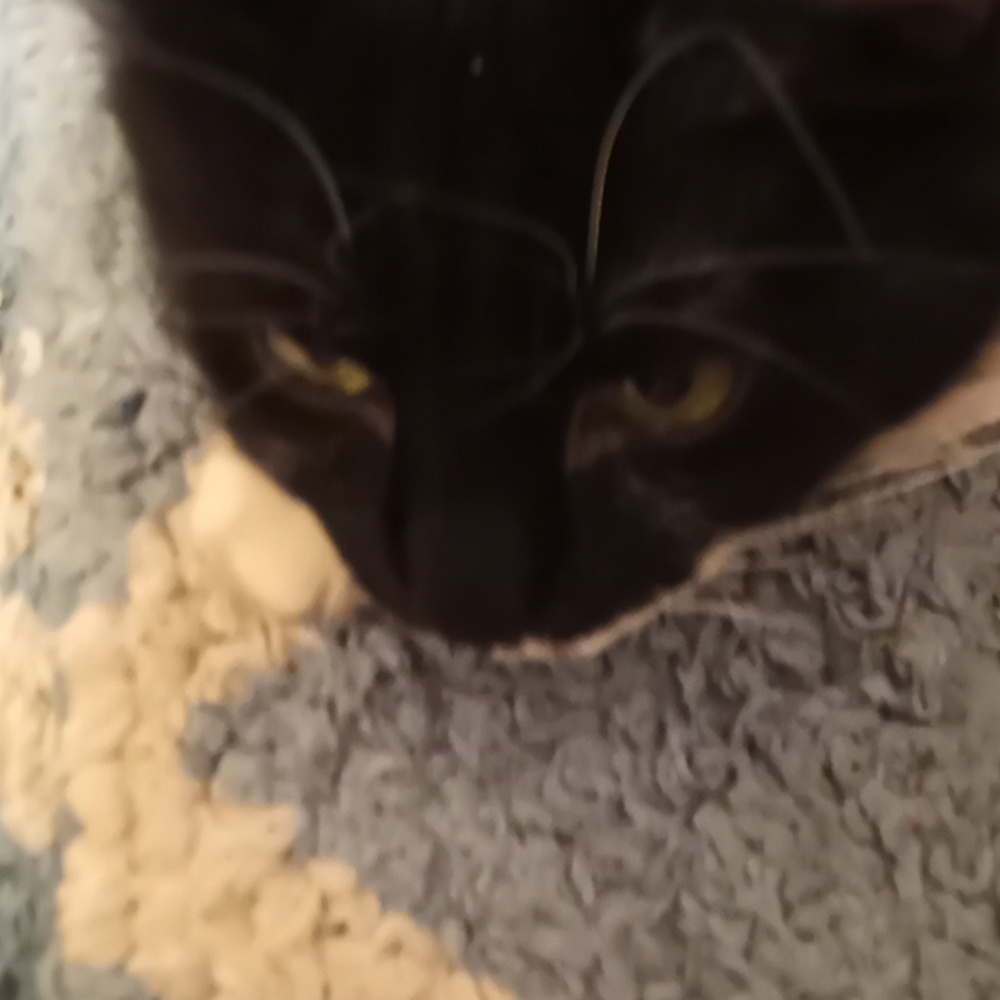 Meet your Posher, Jody